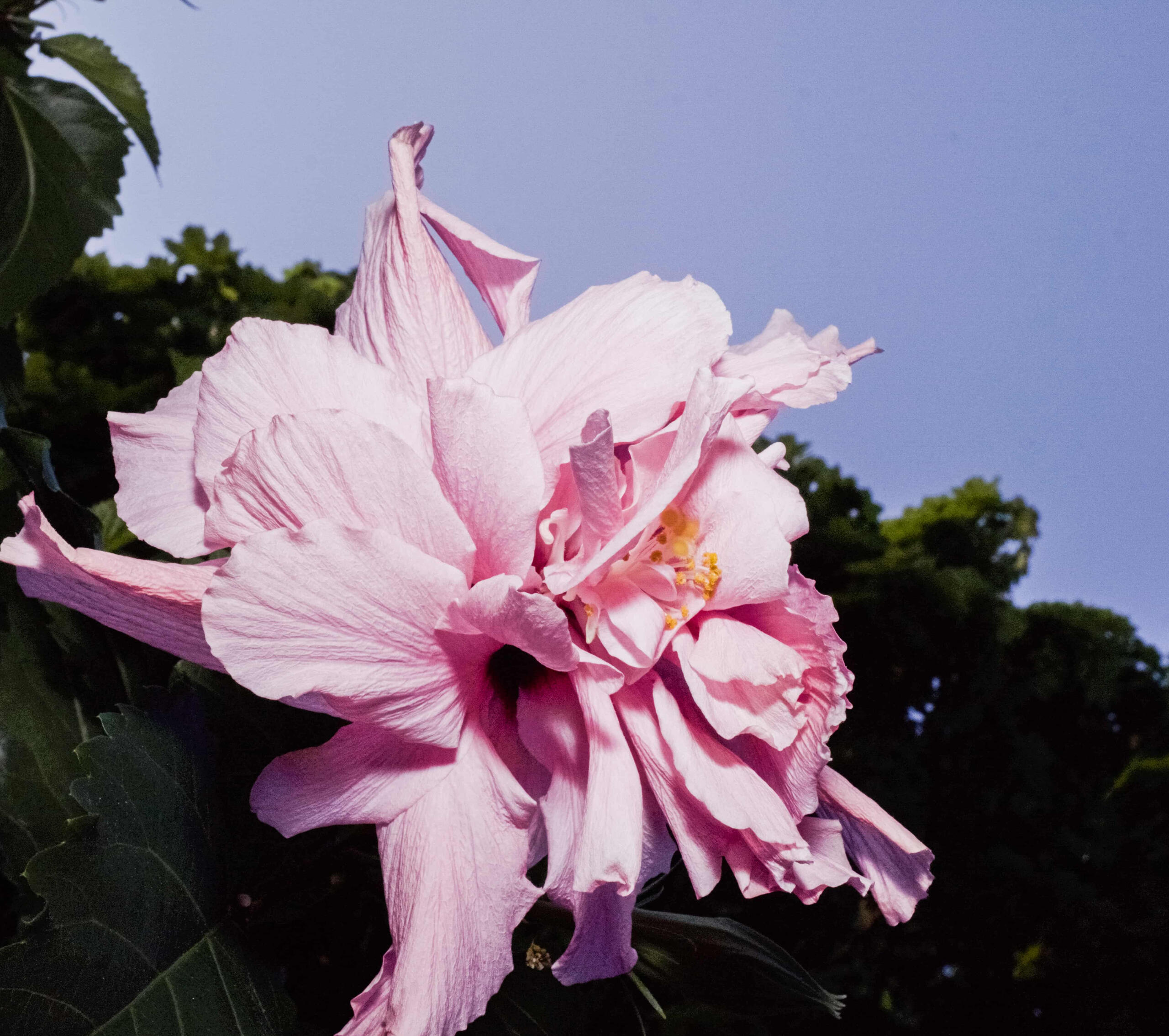 Personal Project filmed with a Richmond hill Artist who never stops learning.